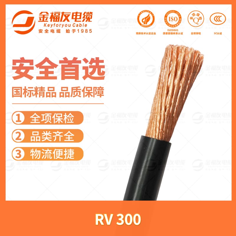 金福友產(chǎn)品-7.11-RV-300